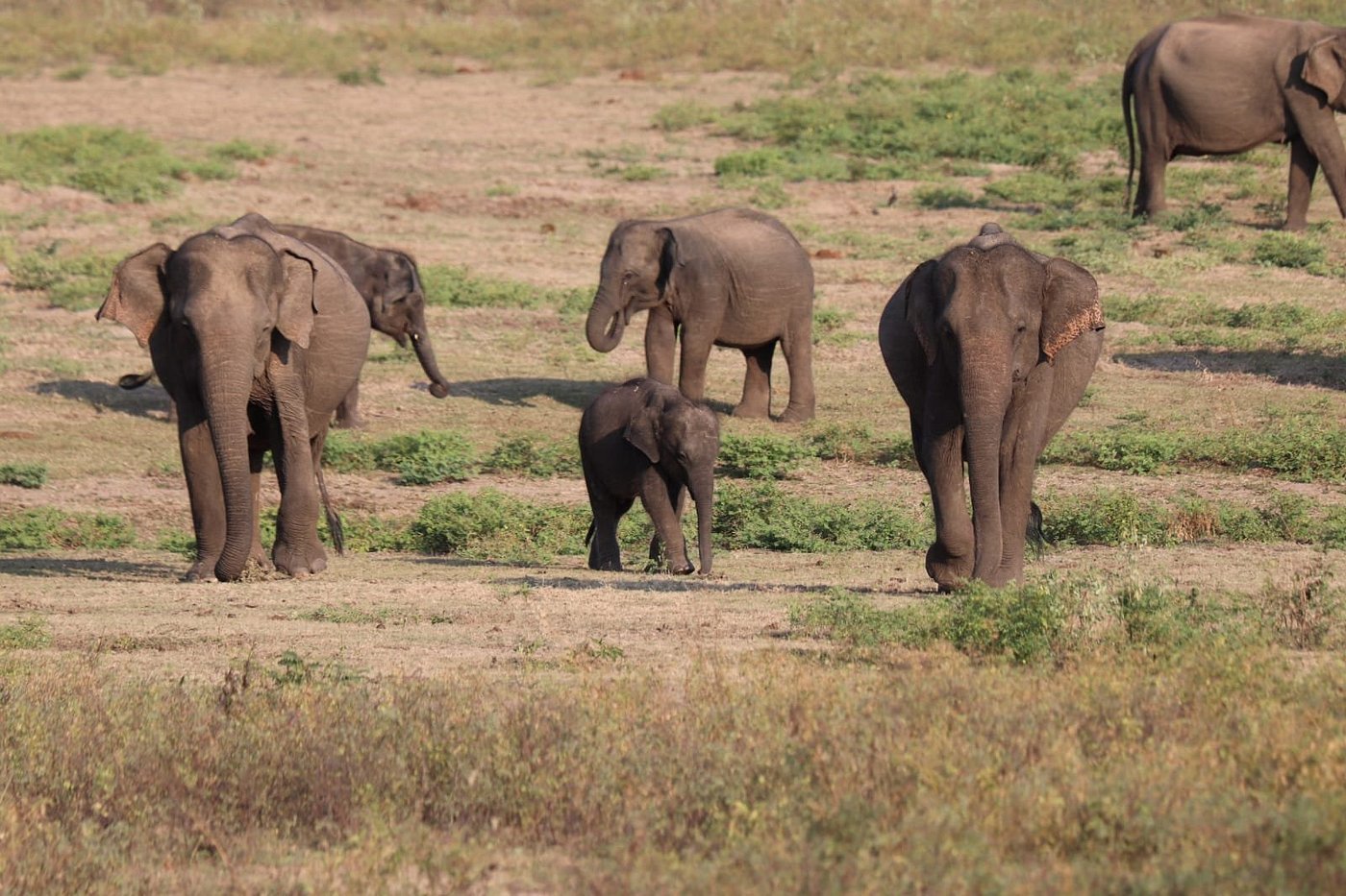 img-20190408-wa0038-largejpg