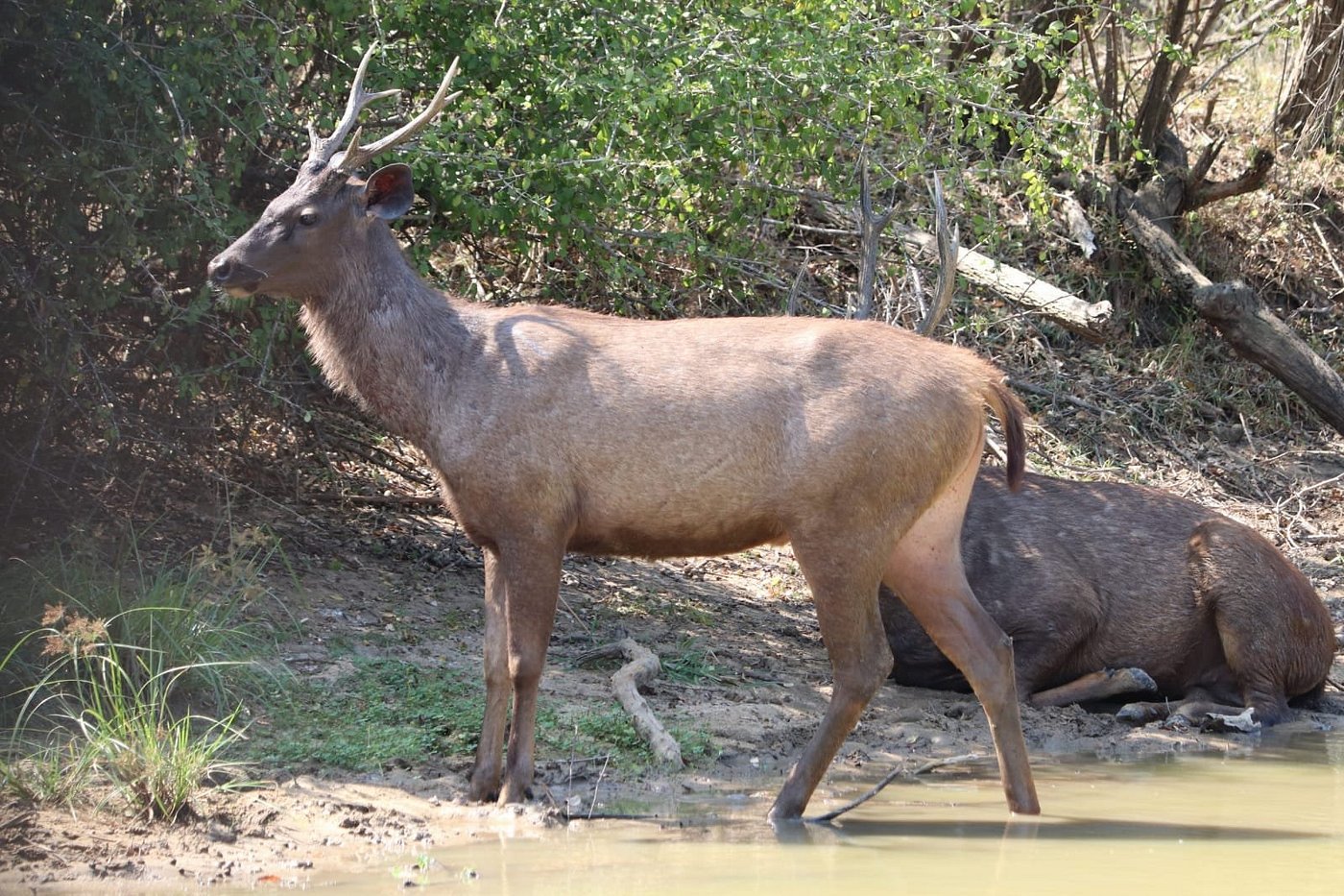 img-20190408-wa0041-largejpg