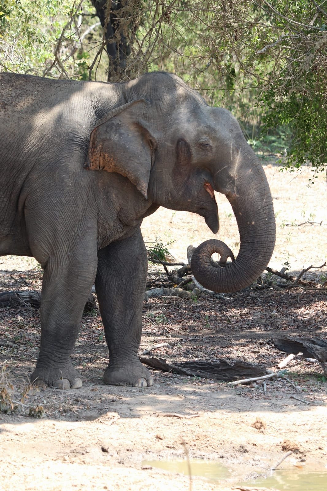 img-20190408-wa0042-largejpg