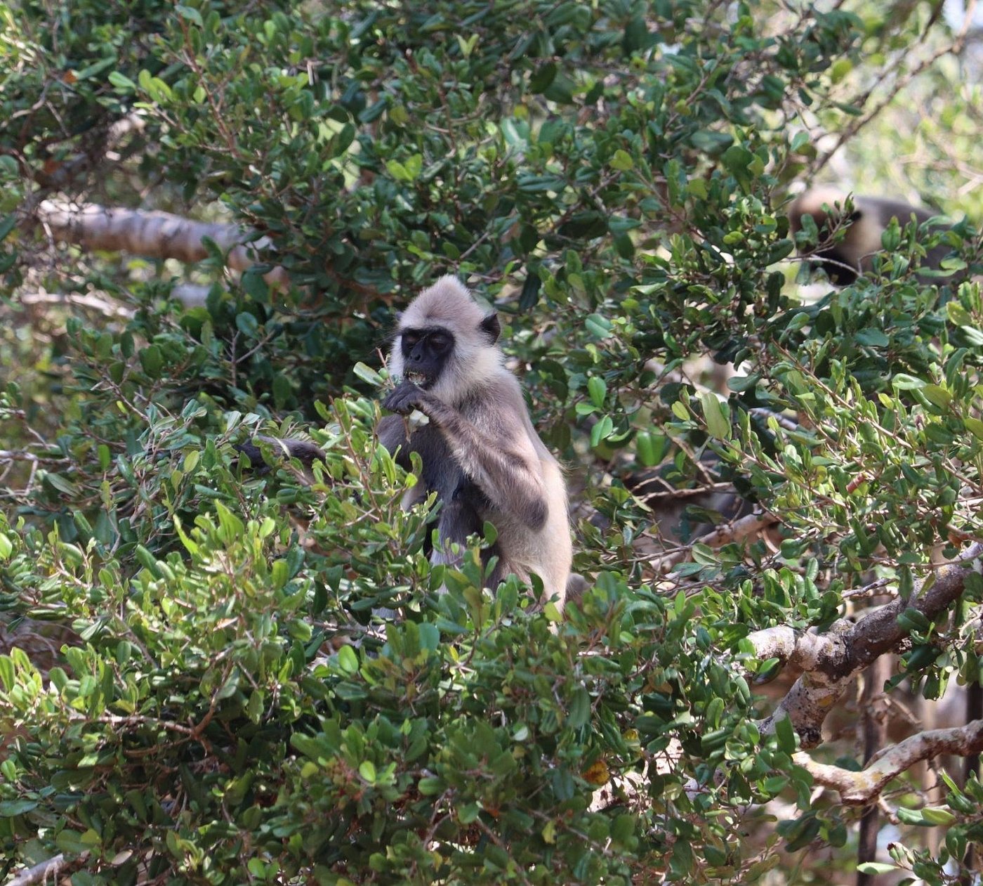 img-20190408-wa0044-largejpg