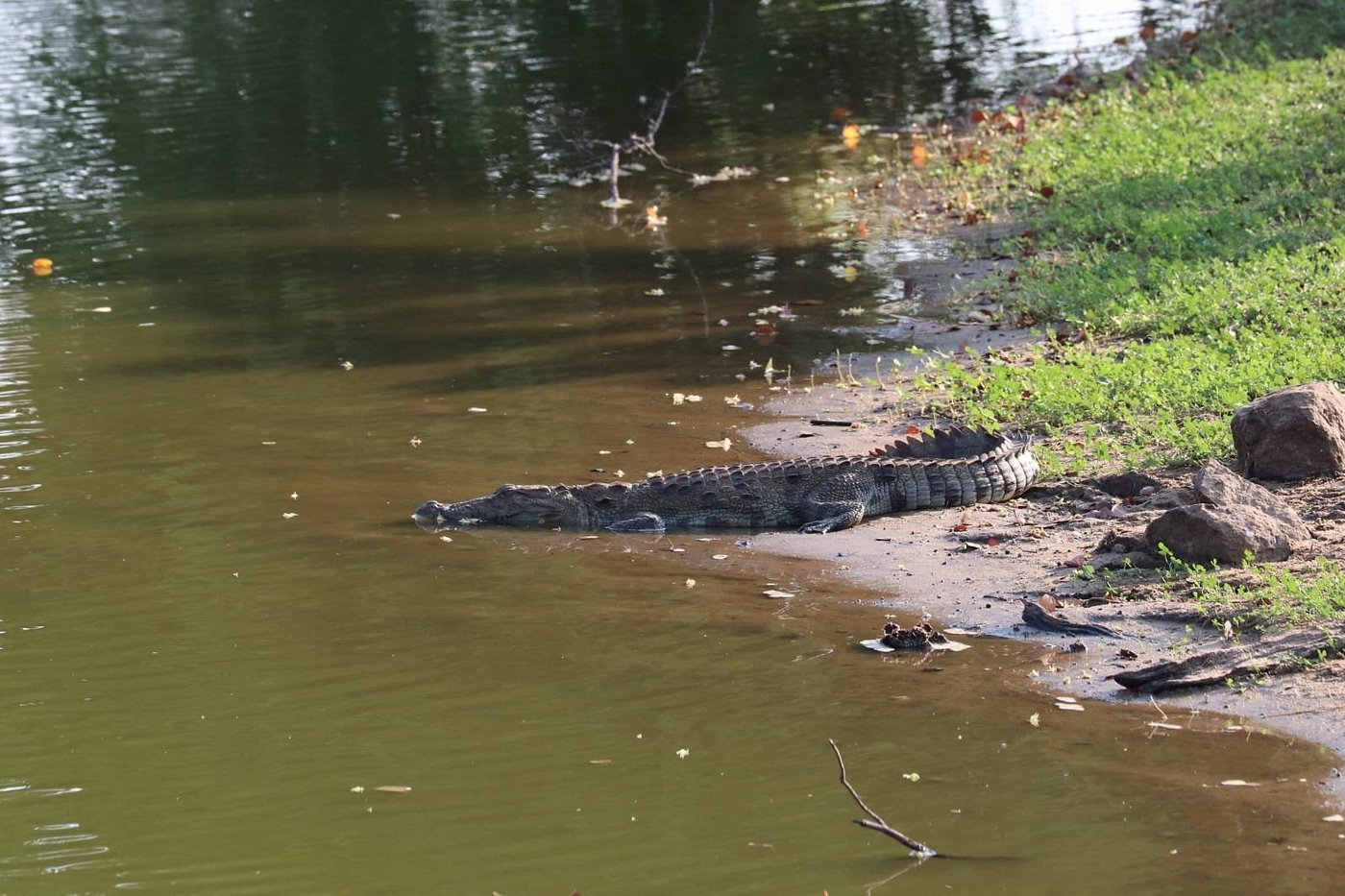 img-20190408-wa0047-largejpg