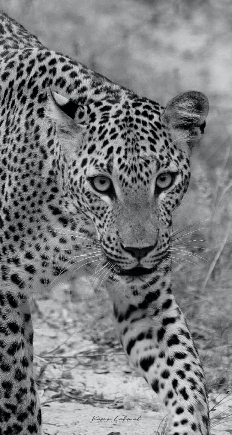 WhatsApp Image 2025-03-11 at 12.44.46 PM