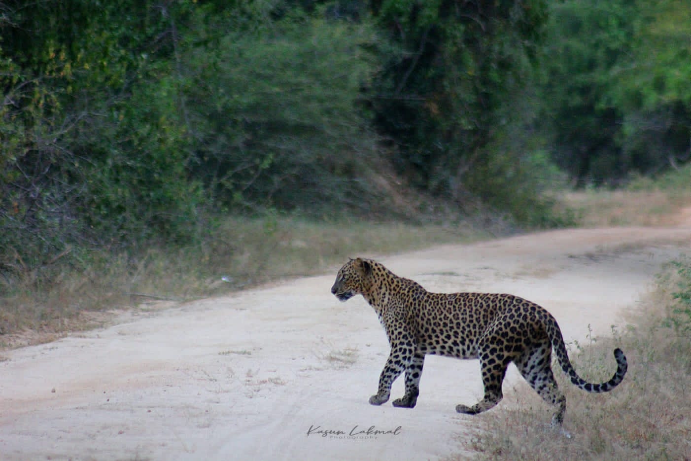 WhatsApp Image 2025-03-11 at 12.44.47 PM