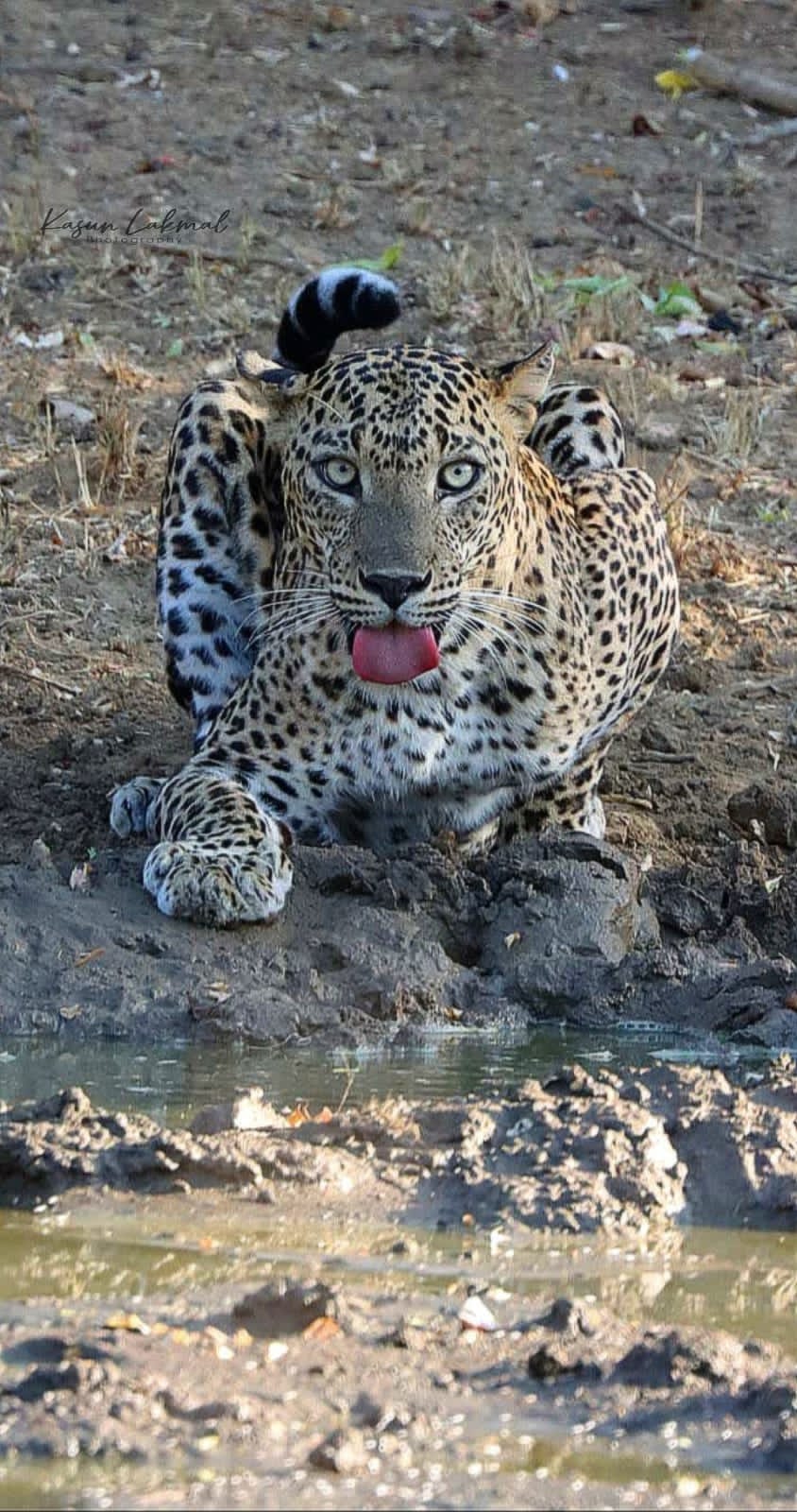 WhatsApp Image 2025-03-11 at 12.44.52 PM(1)