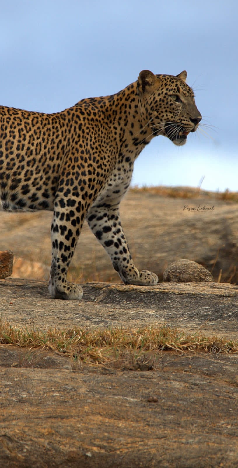 WhatsApp Image 2025-03-11 at 12.45.05 PM