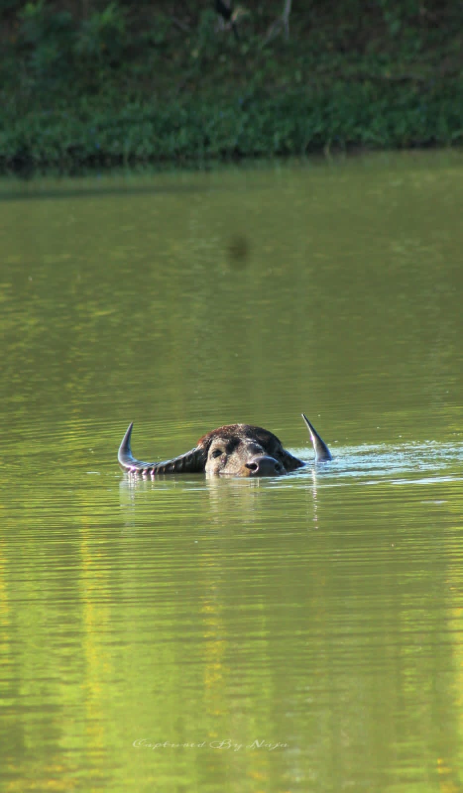 WhatsApp Image 2025-03-11 at 12.45.05 PM(1)