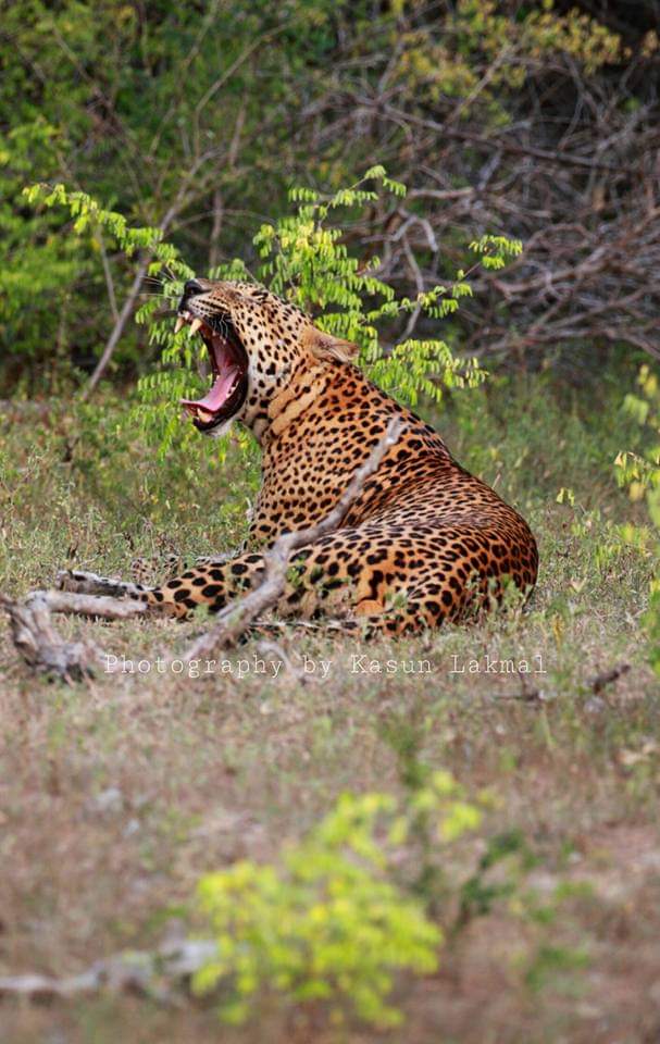 WhatsApp Image 2025-03-11 at 12.45.06 PM