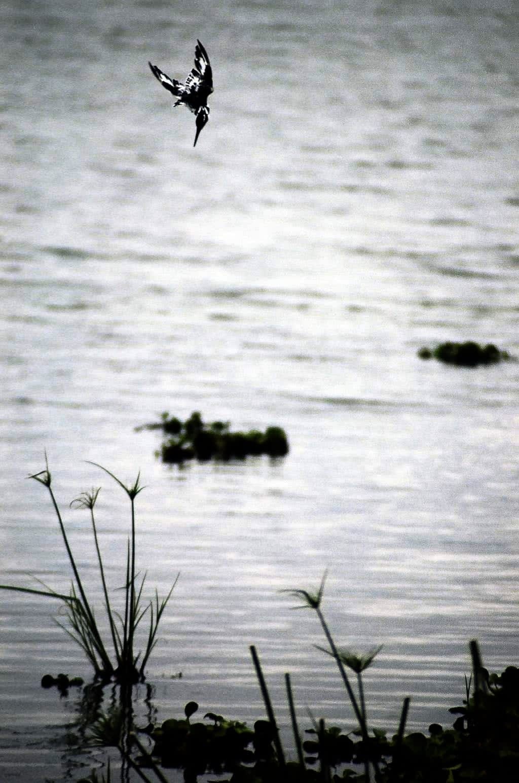 WhatsApp Image 2025-03-11 at 12.45.06 PM(2)