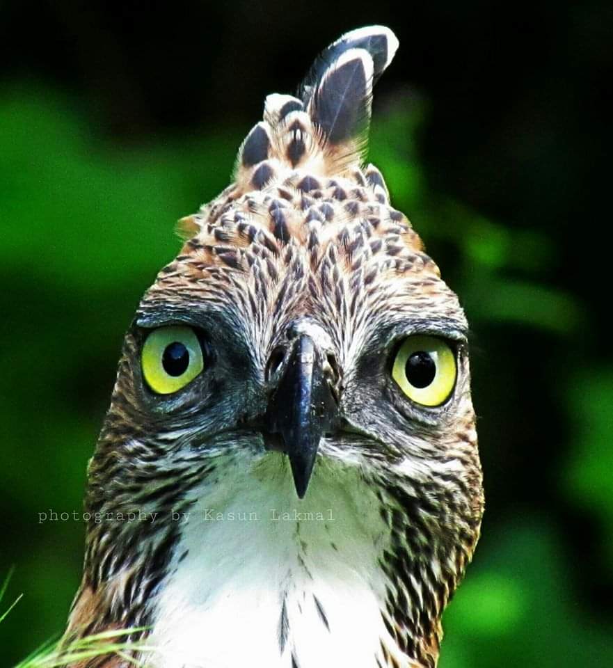 WhatsApp Image 2025-03-11 at 12.45.07 PM(2)