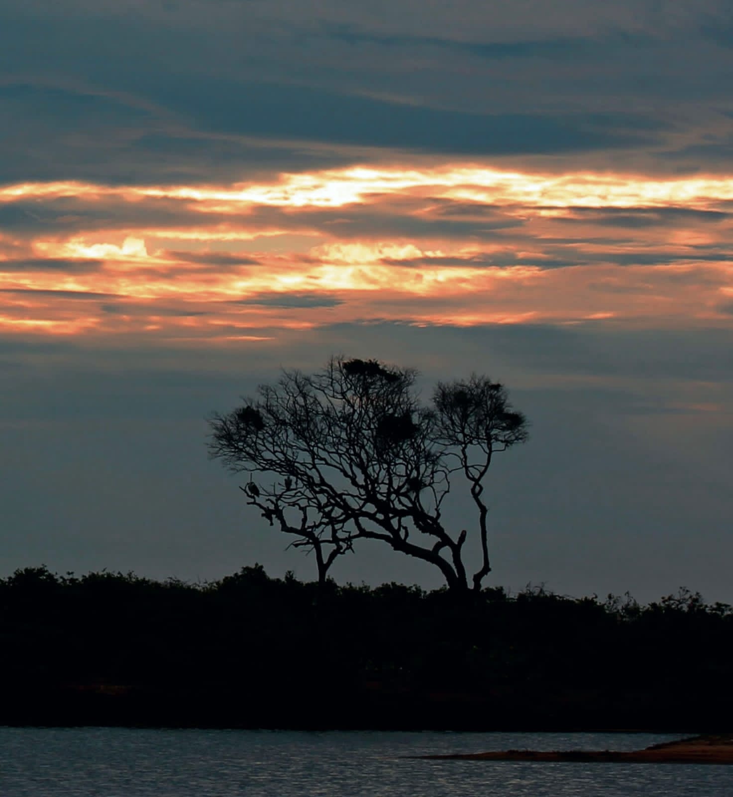 WhatsApp Image 2025-03-11 at 12.45.08 PM