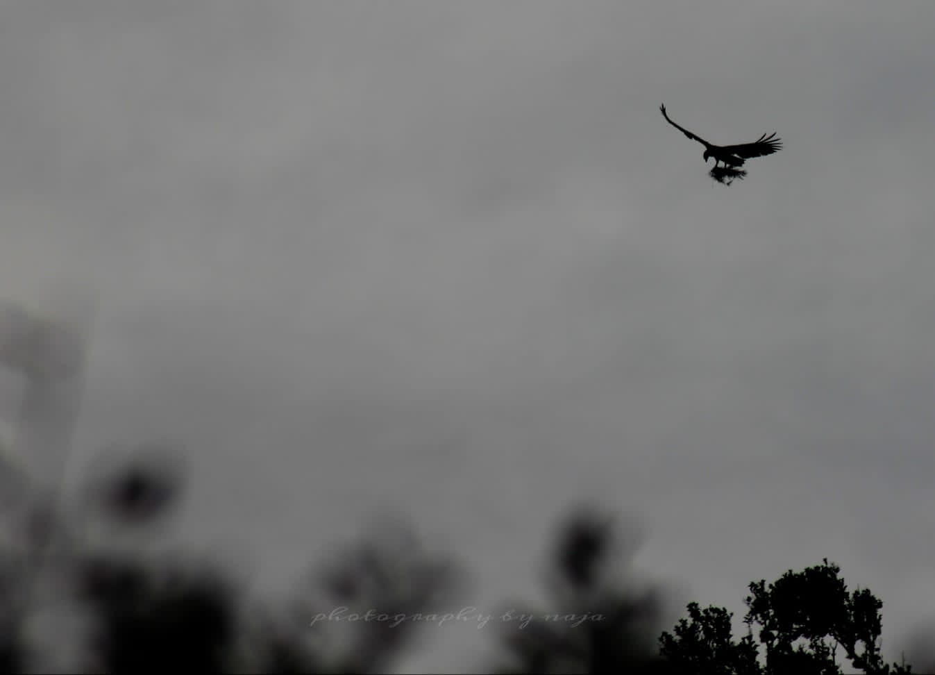 WhatsApp Image 2025-03-11 at 12.45.08 PM(1)