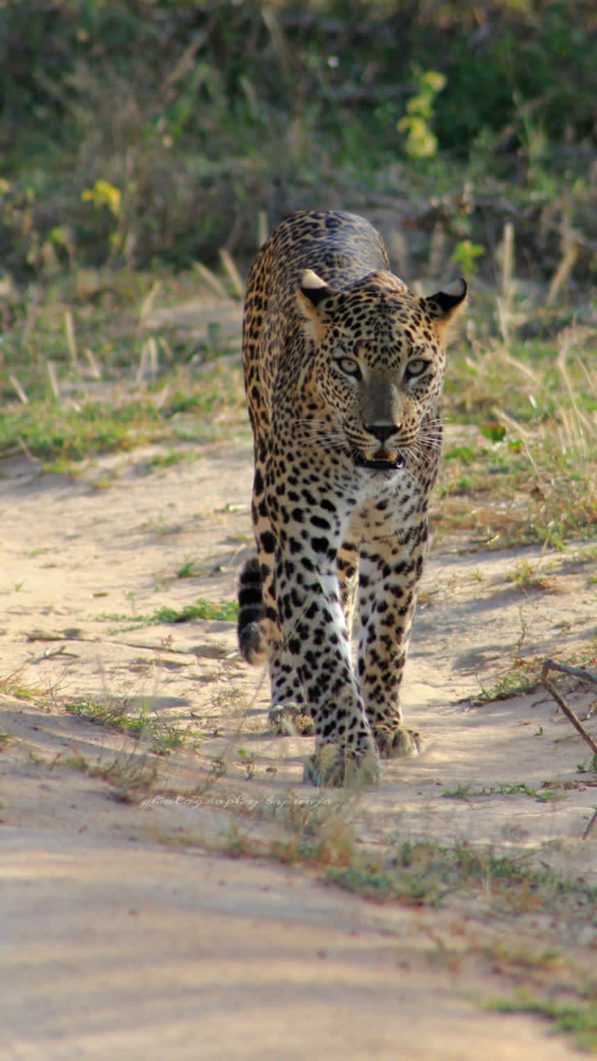 WhatsApp Image 2025-03-11 at 12.45.09 PM(1)