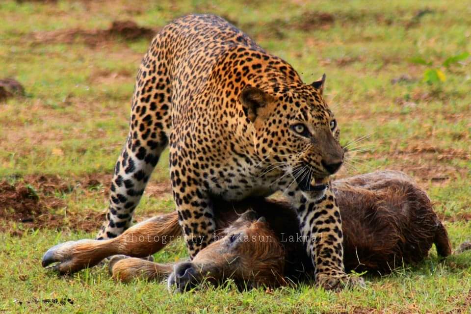 WhatsApp Image 2025-03-11 at 12.45.09 PM(2)