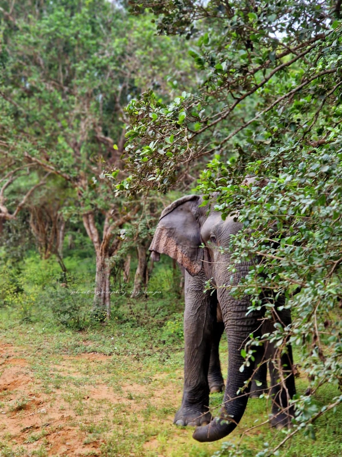 WhatsApp Image 2025-03-11 at 12.45.12 PM