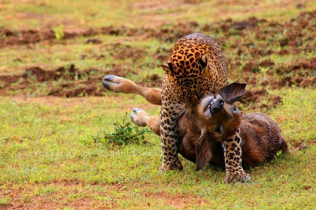 WhatsApp Image 2025-03-11 at 12.45.13 PM